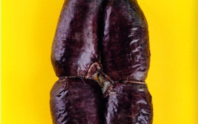 VINOvidiVINCI. Cien motivos para brindar