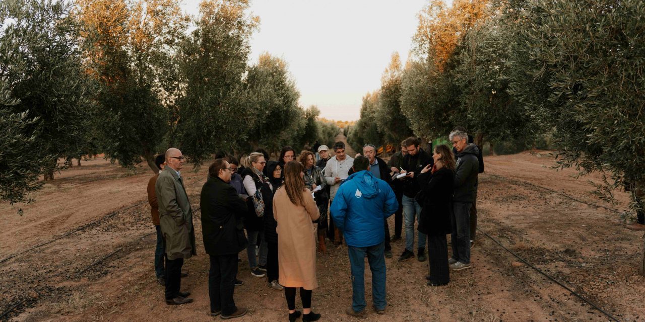 El Consejo Regulador de la Denominación de Origen Protegida “Aceite del Bajo Aragón” recibe a un grupo de periodistas agrícolas europeos