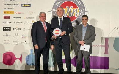 El Festival Vino Somontano, premiado en los Wine Challenge Industry Spain 2023