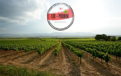 Bodegas San Valero obtiene el sello ECO-PROWINE por su compromiso y respeto con el medio ambiente