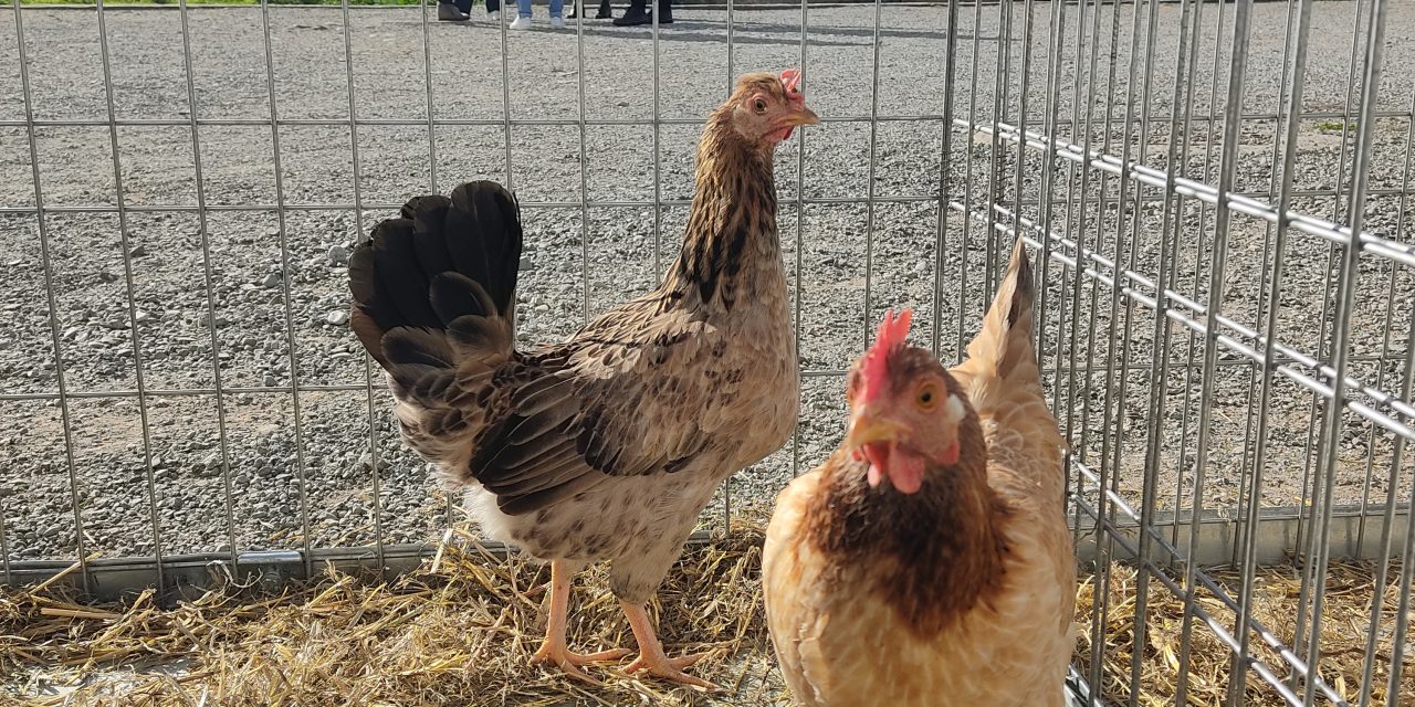 Follarasca clausura el encuentro de la Red de Municipios por la Agroecología con el producto local como protagonista