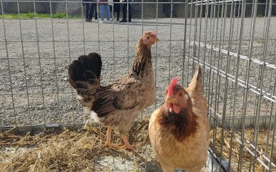 Follarasca clausura el encuentro de la Red de Municipios por la Agroecología con el producto local como protagonista