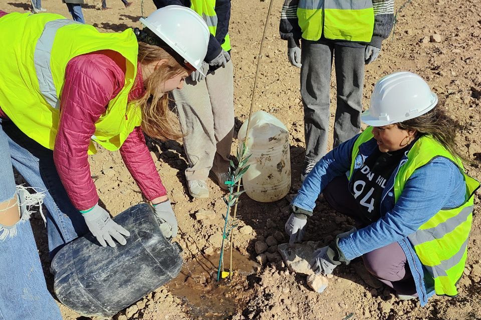 Apadrinaunolivo.org avanza en la reforestación de Mina Beatriz en Oliete junto a estudiantes norteamericanos