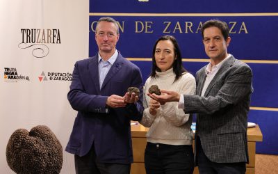 La trufa negra de la provincia llega a Zaragoza en la Tercera Muestra especializada que se celebra, este fin de semana, en el Palacio de Sástago