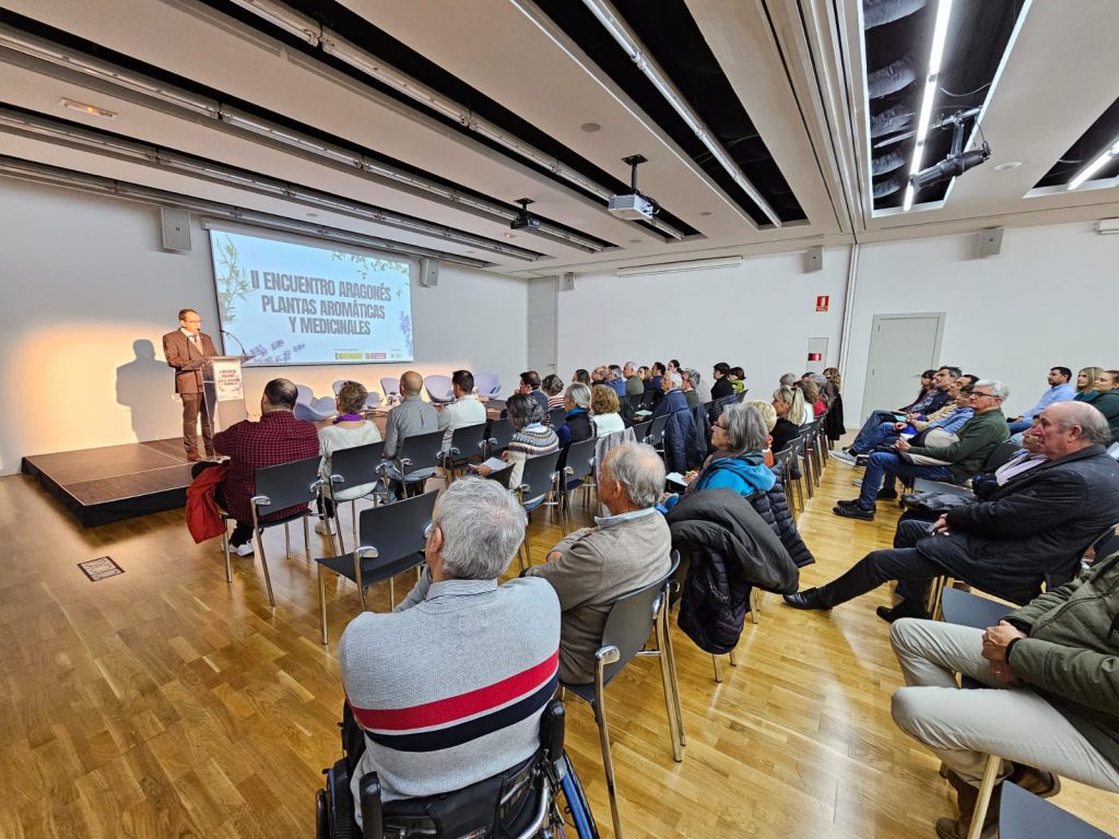 ENCUENTRO ARAGONÉS PAM