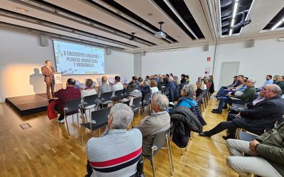 Las plantas aromáticas y medicinales, una oportunidad para los secanos de la provincia de Huesca
