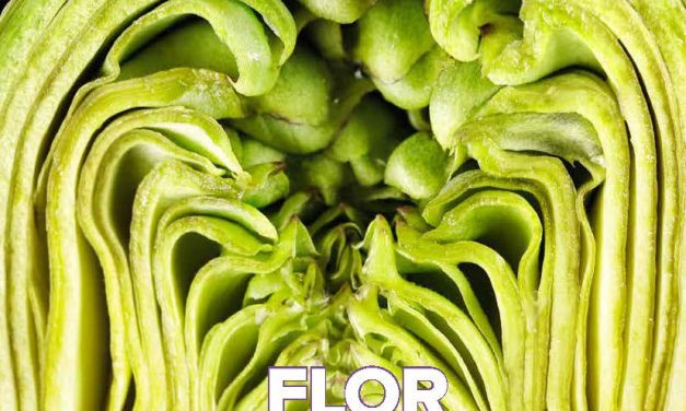 Revista Gastro Aragón 87: La flor de la huerta