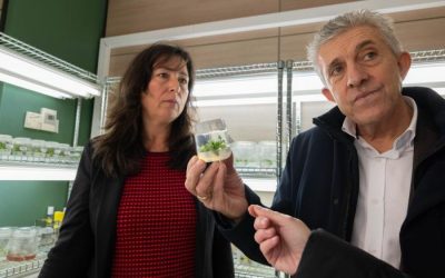 Ángel Samper: «Contar con un centro como el CITA es una gran fortaleza para que el sector agroalimentario aragonés siga creciendo»