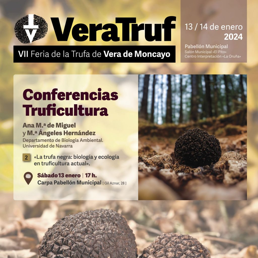 Conferencia Ana M Angeles