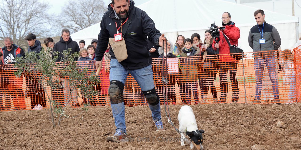 Carlos Javier Diarte y Laica ganan el IV Concurso Nacional de Perros Truferos de la Sierra del Moncayo