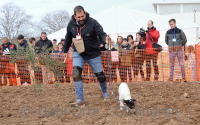 Carlos Javier Diarte y Laica ganan el IV Concurso Nacional de Perros Truferos de la Sierra del Moncayo