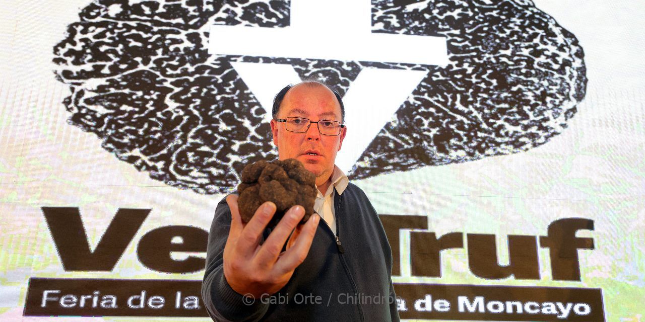 La trufa más grande del concurso de la Feria de la Trufa de Vera de Moncayo, subastada por 5700€