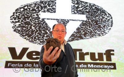 La trufa más grande del concurso de la Feria de la Trufa de Vera de Moncayo, subastada por 5700€