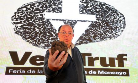 La trufa más grande del concurso de la Feria de la Trufa de Vera de Moncayo, subastada por 5700€