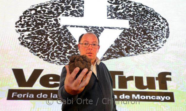 La trufa más grande del concurso de la Feria de la Trufa de Vera de Moncayo, subastada por 5700€