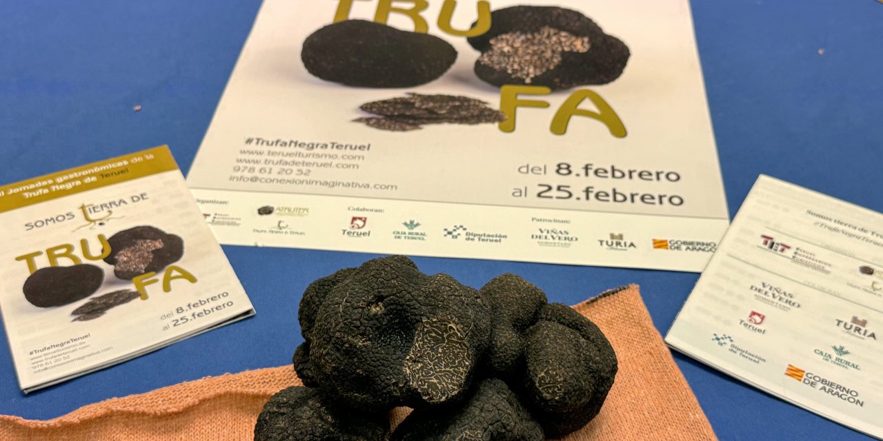 Jornadas Gastronómicas de la Trufa Negra de Teruel en 40 establecimientos de la provincia