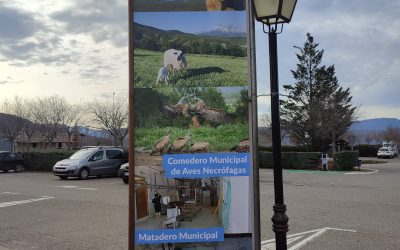 Aínsa amplía las instalaciones del matadero ecológico municipal