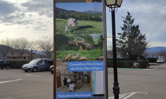 Aínsa amplía las instalaciones del matadero ecológico municipal