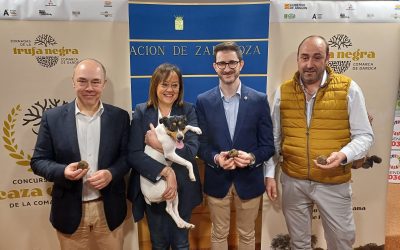 Las Jornadas de la Trufa Negra de la Comarca de Daroca amplían programación