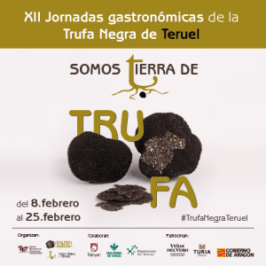 banner tufa 500X500 px