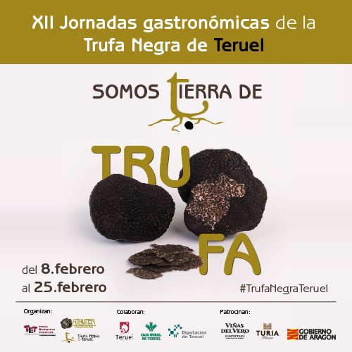 banner tufa 500X500 px