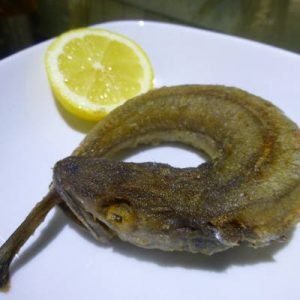 pescadilla enroscada