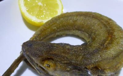 La pescadilla