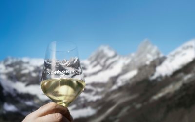 Somontano, la Denominación de Origen con más vinos en el informe “Aragón 2024. Top 100” de Timatkin.com