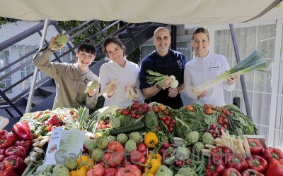 Las verduras vuelven a Gayarre