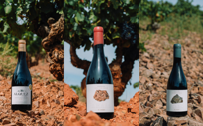 Grenaches du Monde encumbra los vinos de la añada 2021 de Sommos Garnacha