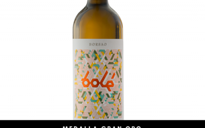 Bodegas Borsao saca al mercado el nuevo Bolé blanco 2023, el cual ya se ha posicionado como mejor vino blanco de Aragón