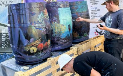 VinoSonic DOP Calatayud: un festival que desbordó sensaciones a los más de 4000 asistentes