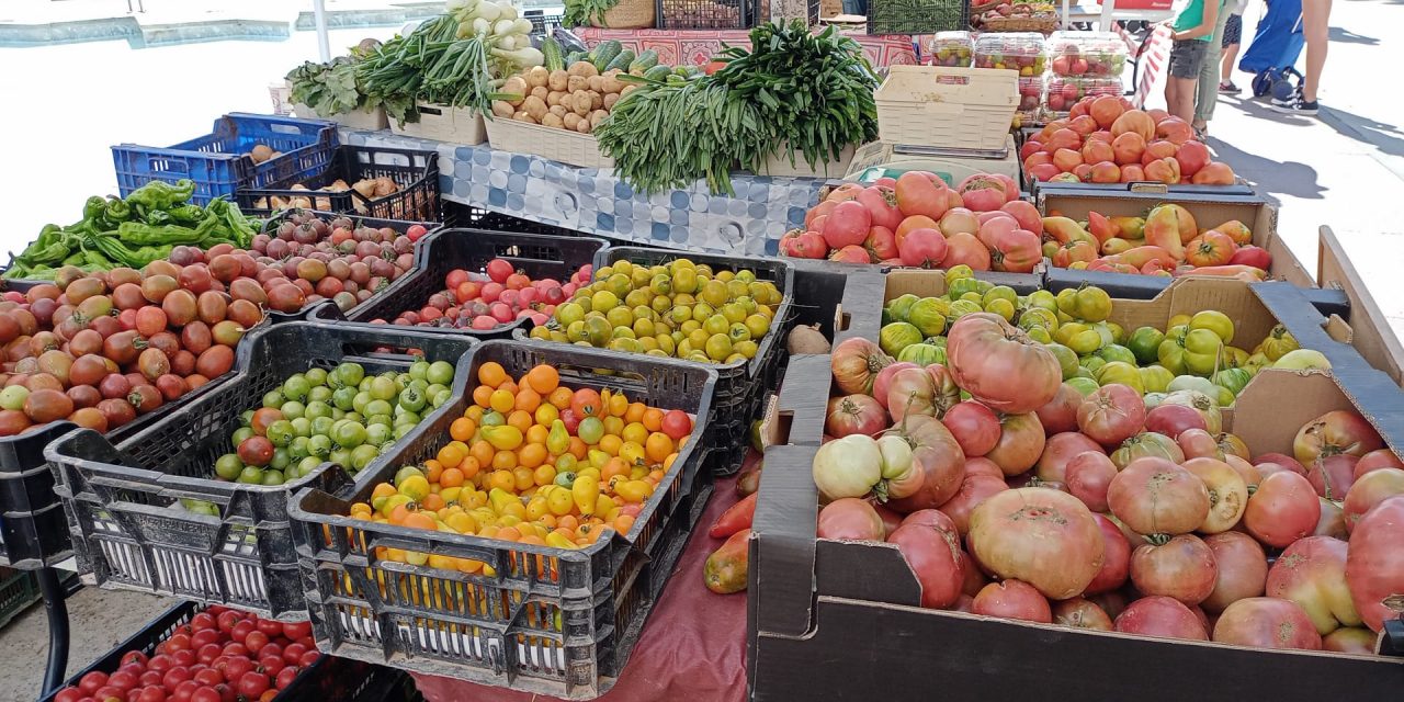 La SEMANA tomatera EL TAPAO