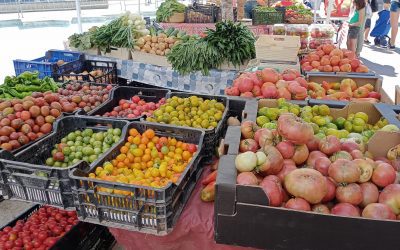 La SEMANA tomatera EL TAPAO