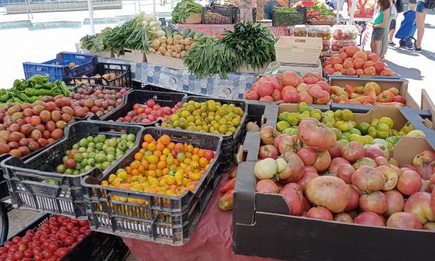 La SEMANA tomatera EL TAPAO