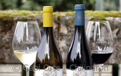 La Pastoriza y Batanero, vinos gallegos que homenajean más de cuatros siglos de actividad vitivinícola en Pazo de la Cuesta