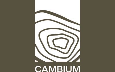 SALLENT DE GÁLLEGO. Cena solidaria por Valencia en Cambium