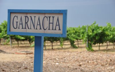 Cariñena y Zaragoza, sedes del concurso Grenaches du Monde