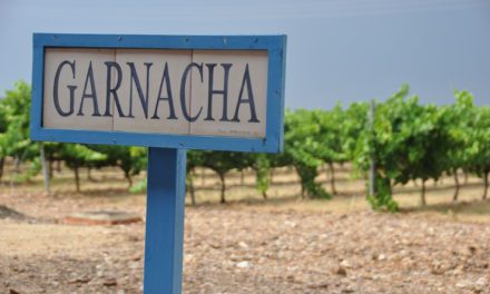 Cariñena y Zaragoza, sedes del concurso Grenaches du Monde