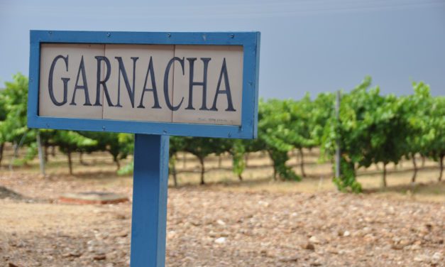 Cariñena y Zaragoza, sedes del concurso Grenaches du Monde