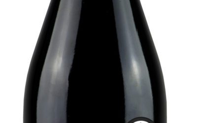 Horeca Hoteles Zaragoza y provincia firma un acuerdo de colaboración con la bodega Grandes Vinos de Cariñena para promocionar la Garnacha