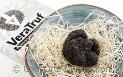 Veratruf, la Feria de la trufa de Vera de Moncayo inaugura el calendario trufero de 2025