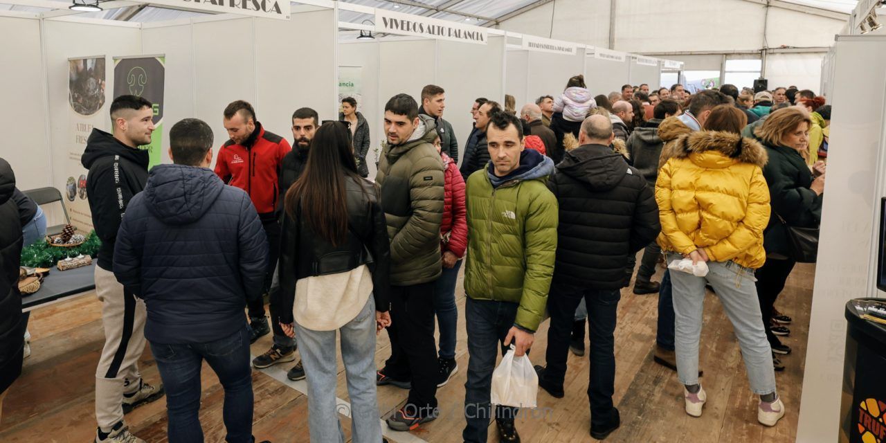 Arranca la octava edición de Veratruf, la Feria de la Trufa de Vera de Moncayo