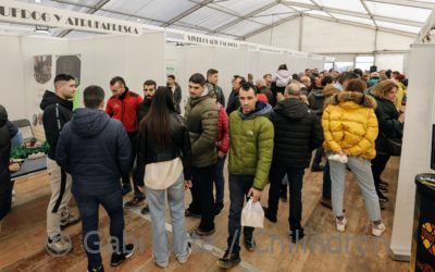 Arranca la octava edición de Veratruf, la Feria de la Trufa de Vera de Moncayo
