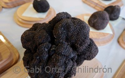 La trufa con mejor aroma, premio Borsao, del concurso de Veratruf, subastada por 2000 euros