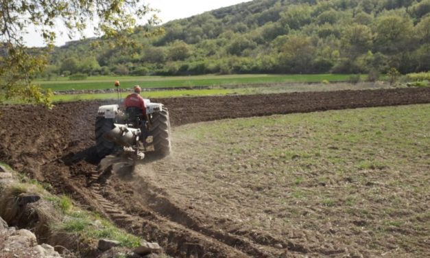 Aragón se lleva el 47% de los ICO dedicados a paliar los efectos de la sequía