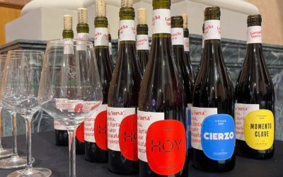 Nace la marca global Garnacha nueva de Cariñena