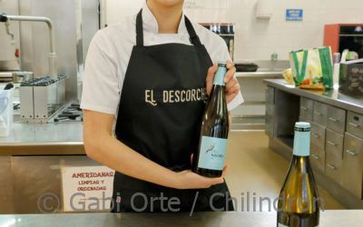 El Descorche y el Caserío de Biel ganan la novena edición de Descubre la trufa