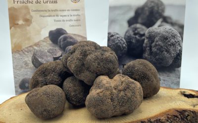 La Trufa Negra de Aragón presente en París