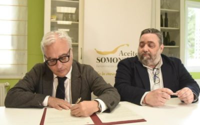 Aceite del Somontano obtiene la Protección Nacional Transitoria para comercializarse como DO en España